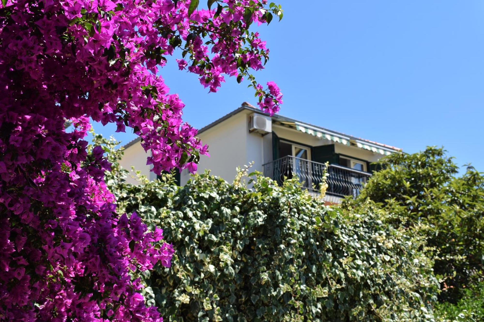חוואר Lina Vrankovic Apartments מראה חיצוני תמונה